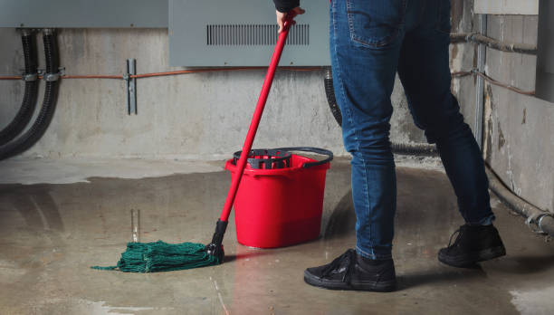 Best Professional water damage repair  in Summitville, IN