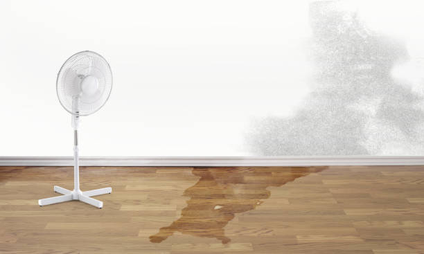 Best Sewage cleanup and water damage restoration  in Summitville, IN