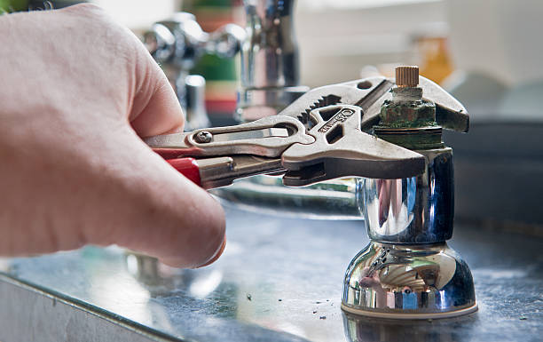 Best Mold removal after water damage  in Summitville, IN