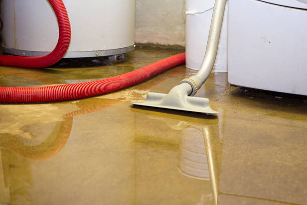 Best Ceiling water damage repair  in Summitville, IN