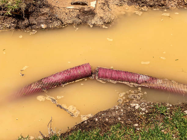 Best Water damage restoration near me  in Summitville, IN