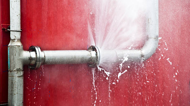 Best Basement water damage restoration  in Summitville, IN